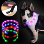 LED collar